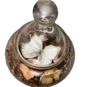 Handblown glass apothecary jar terrarium with dried flowers and butterfly inside